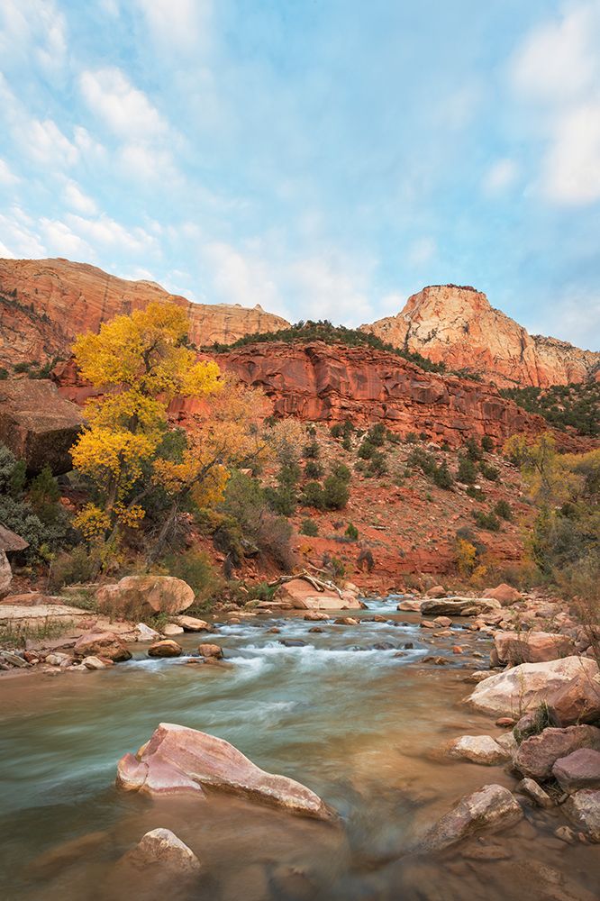 Fall color along the Virgin River-Zion National Park-Utah art print by Alan Majchrowicz for $57.95 CAD
